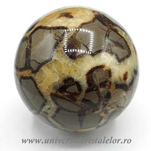 Sfera septaria