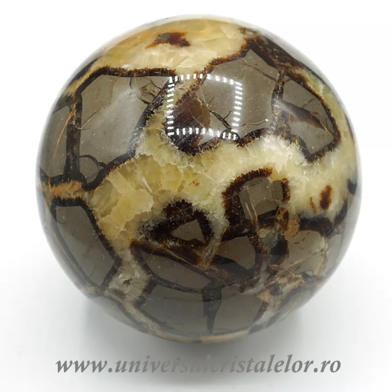 Sfera septaria Sfera septaria