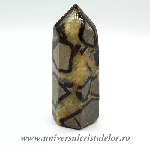 Septaria varf cu baza