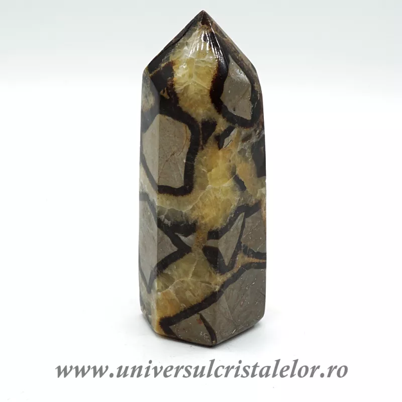 Septaria varf cu baza