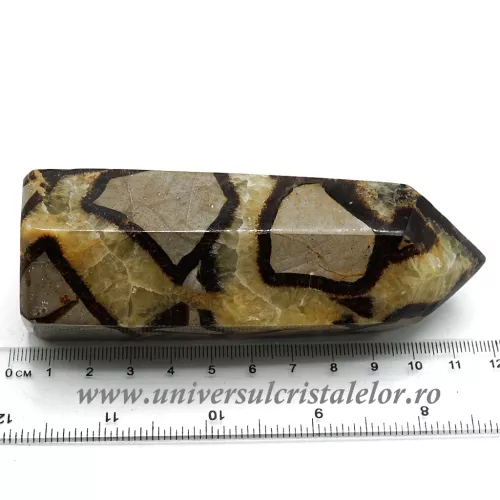 Septaria varf cu baza