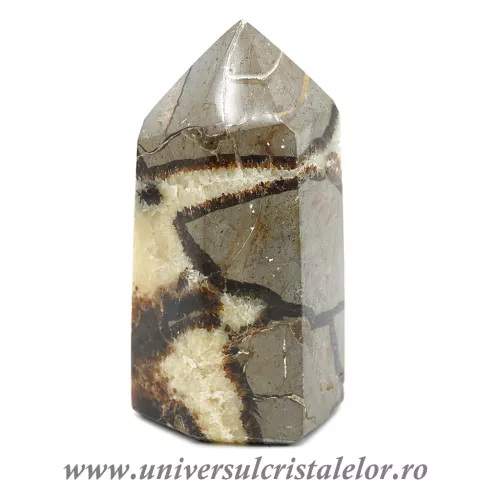 Septaria varf cu baza