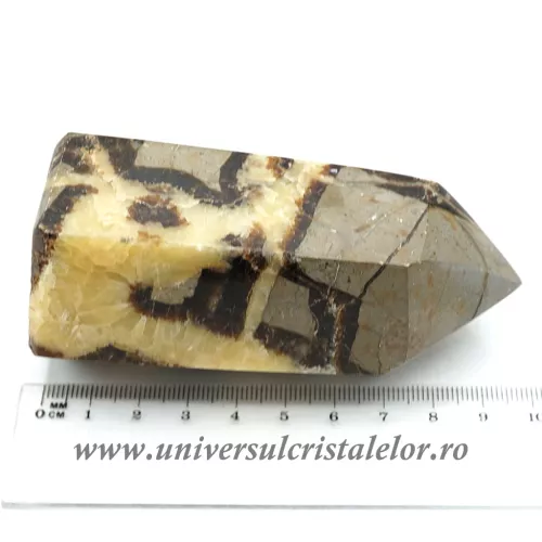 Septaria varf cu baza