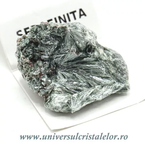 Serafinit Serafinit