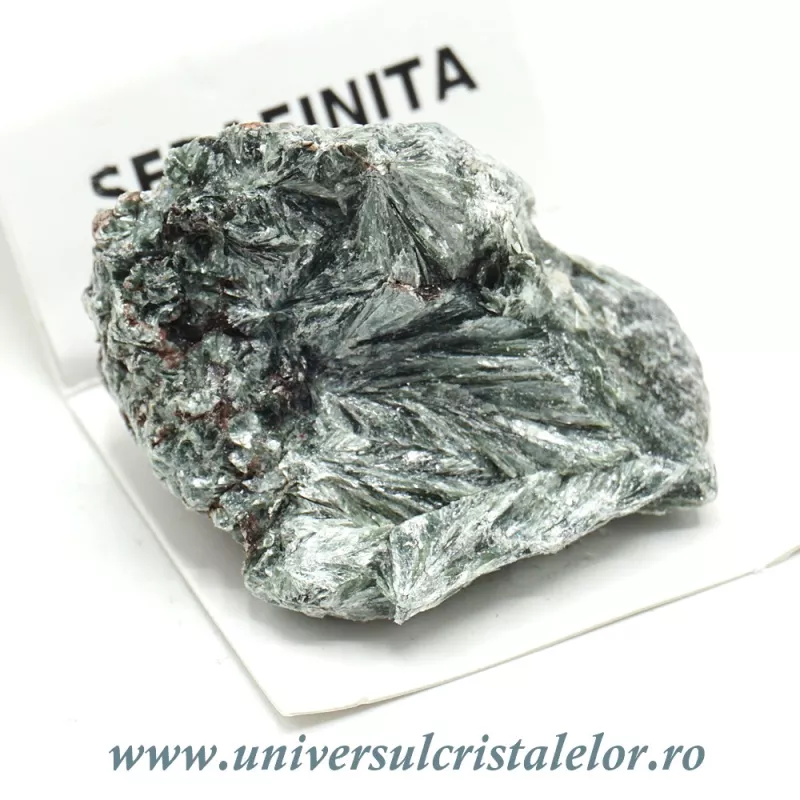 Serafinit Serafinit