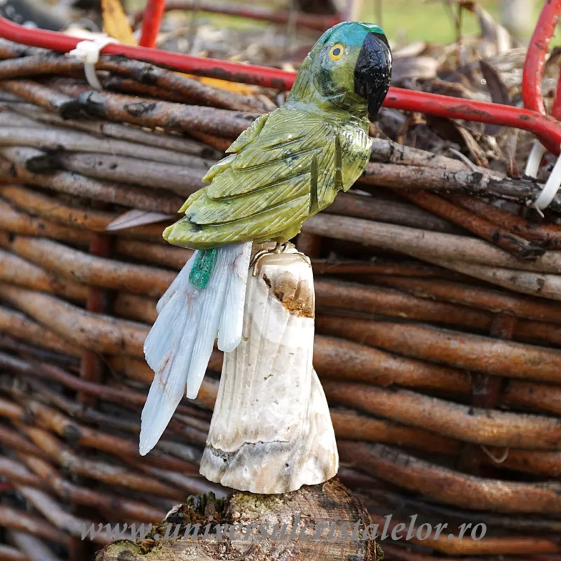 Papagal serpentin m4