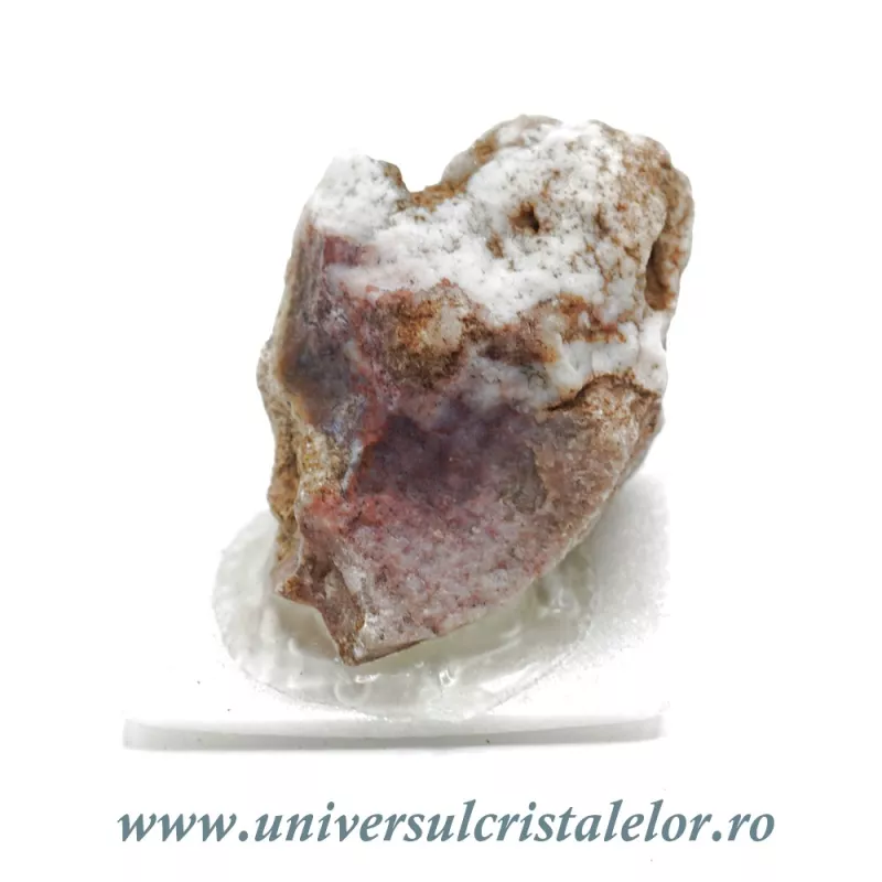 Silex Silex