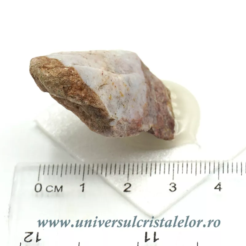 Silex Silex