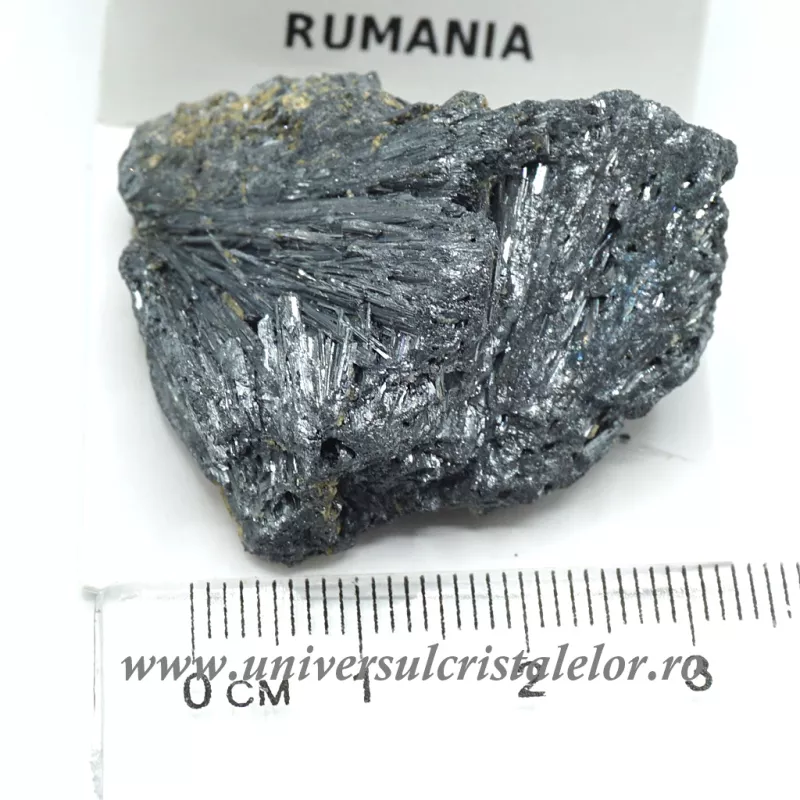 Stibina Stibina