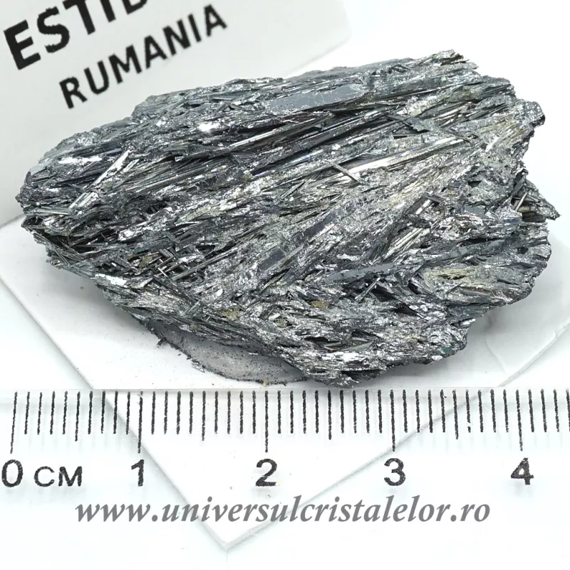 Stibina Stibina