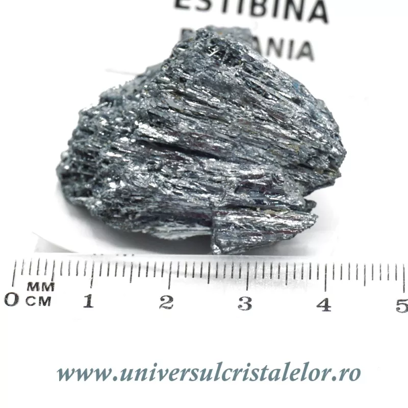Stibina Stibina