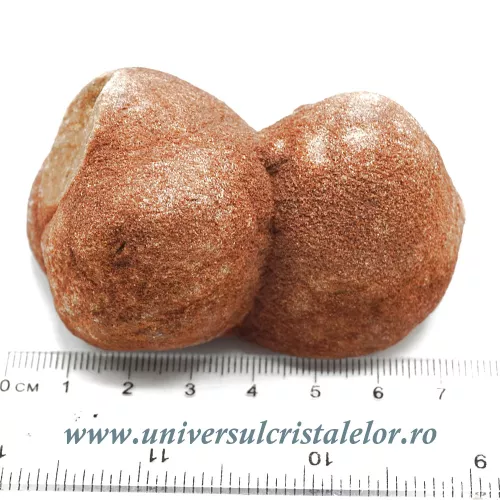 Stromatolit Stromatolit