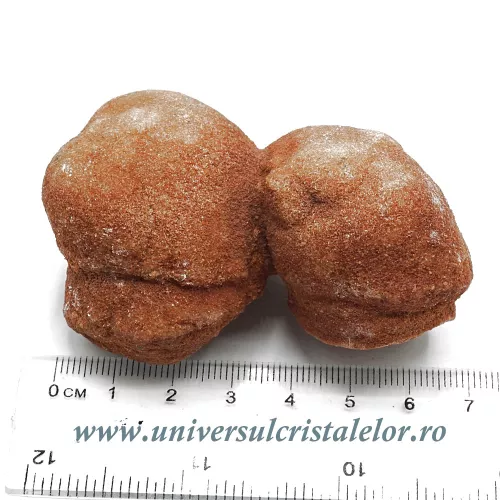 Stromatolit Stromatolit