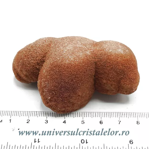 Stromatolit Stromatolit