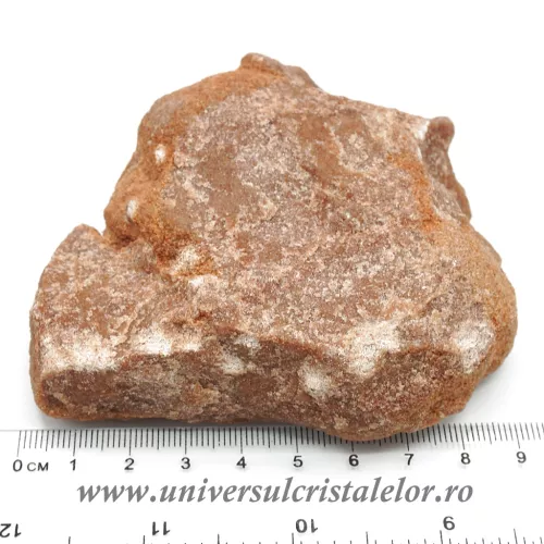 Stromatolit Stromatolit