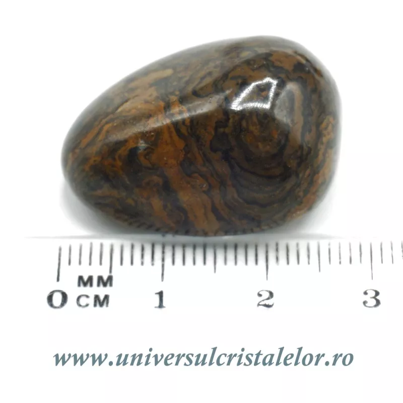Stromatolit piatra rulata Stromatolit piatra rulata