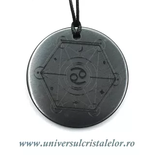 Pandantiv shungit zodia Rac