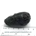 Tectita Tectita
