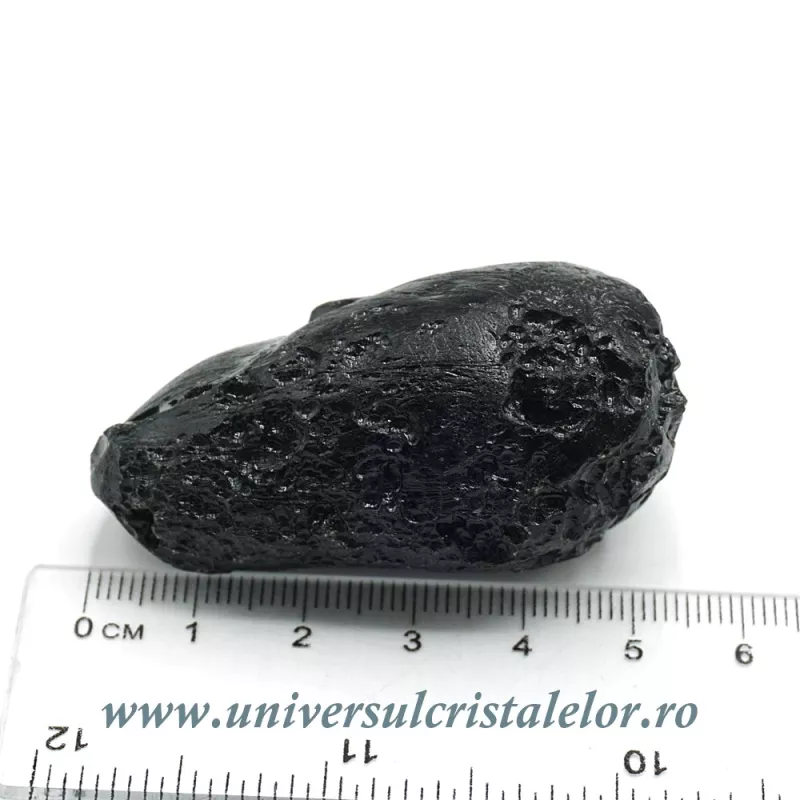 Tectita Tectita