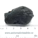 Tectita Tectita