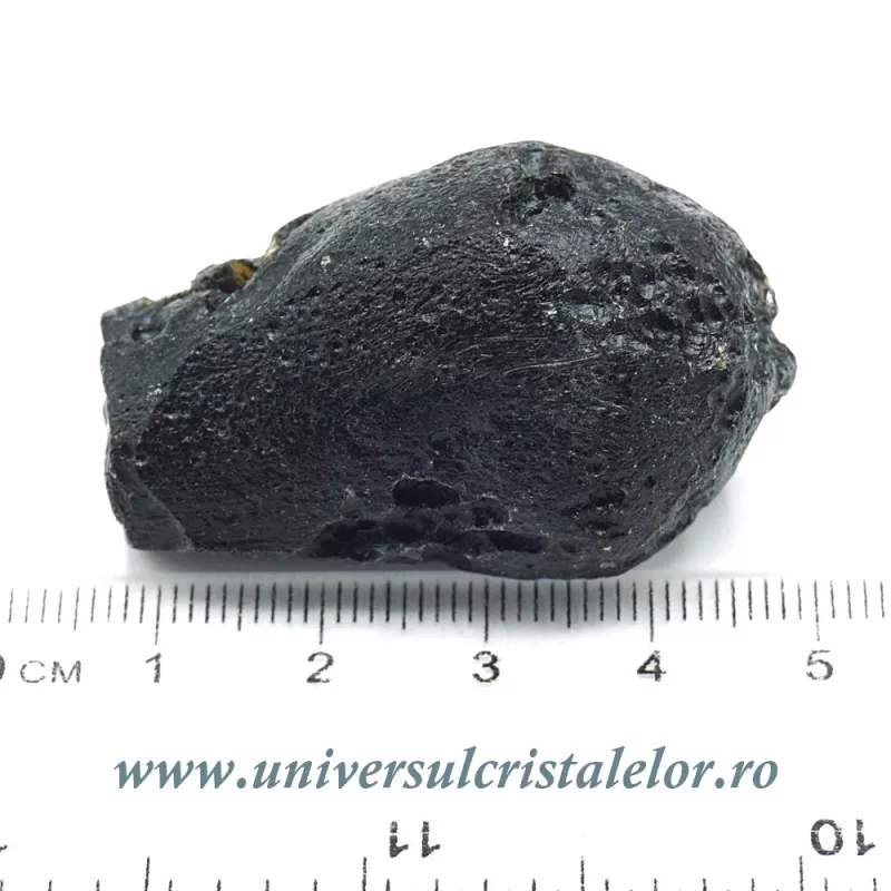Tectita Tectita