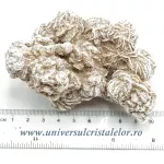 Trandafirul desertului Trandafirul desertului