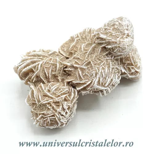 Trandafirul desertului Trandafirul desertului