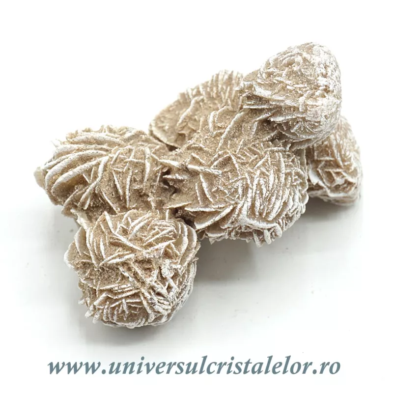 Trandafirul desertului Trandafirul desertului