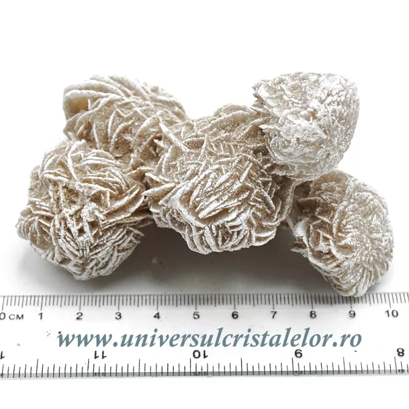 Trandafirul desertului Trandafirul desertului