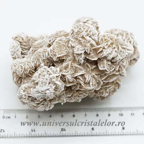 Trandafirul desertului 