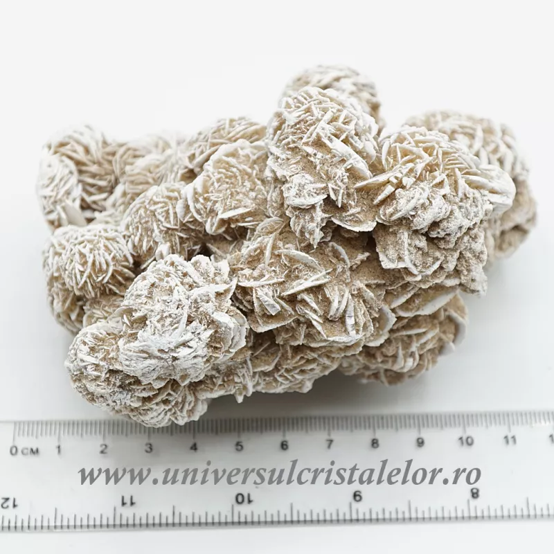 Trandafirul desertului