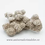 Trandafirul desertului