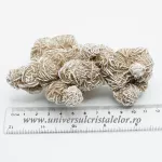 Trandafirul desertului