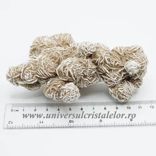 Trandafirul desertului