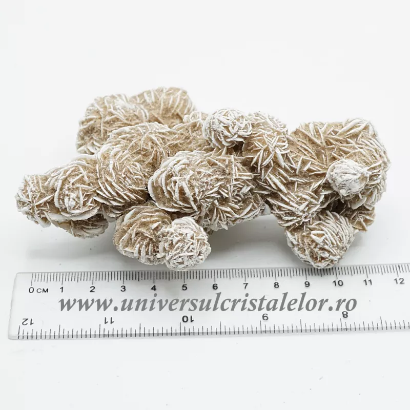 Trandafirul desertului