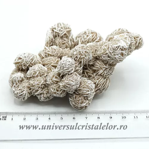 Trandafirul desertului 