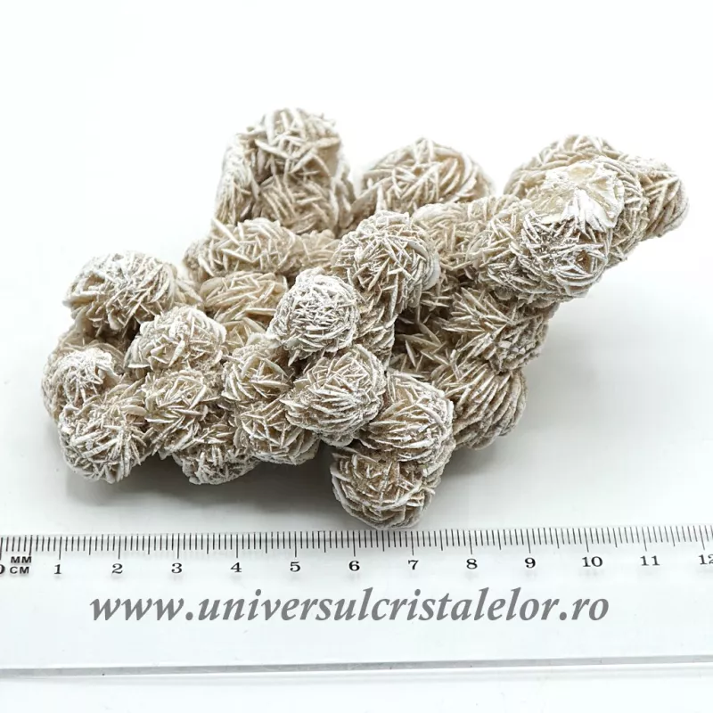 Trandafirul desertului