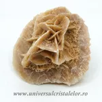 Trandafirul desertului