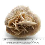 Trandafirul desertului