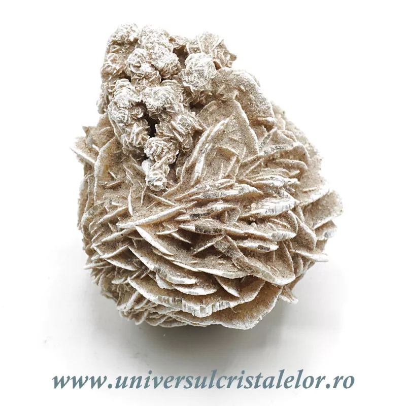 Trandafirul desertului Trandafirul desertului