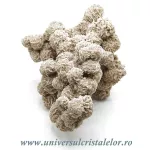 Trandafirul desertului Trandafirul desertului