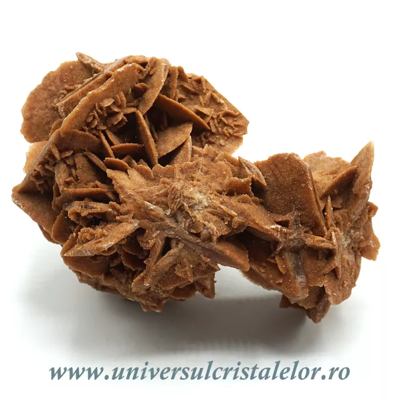 Trandafirul desertului Trandafirul desertului