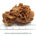 Trandafirul desertului Trandafirul desertului