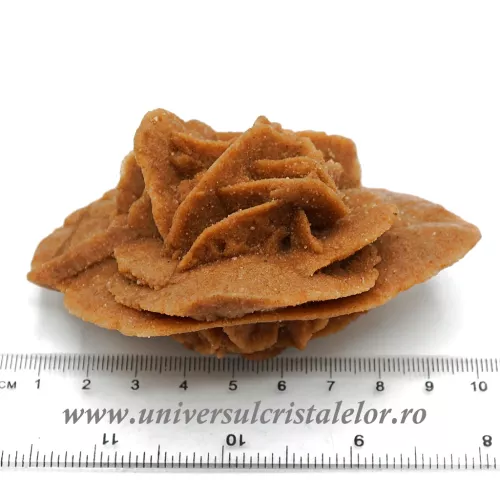 Trandafirul desertului 