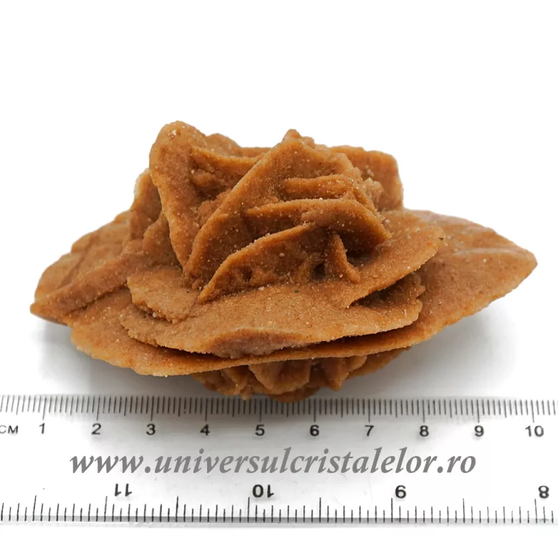 Trandafirul desertului