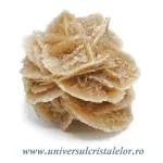 Trandafirul desertului Trandafirul desertului