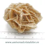 Trandafirul desertului Trandafirul desertului