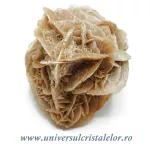 Trandafirul desertului Trandafirul desertului