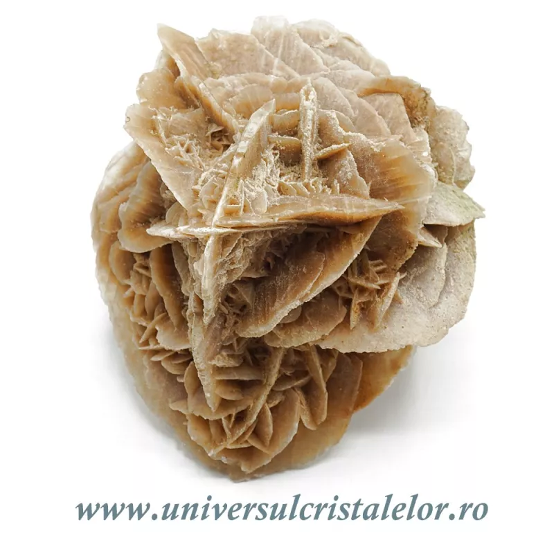 Trandafirul desertului Trandafirul desertului