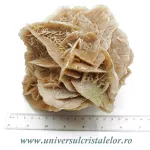 Trandafirul desertului Trandafirul desertului